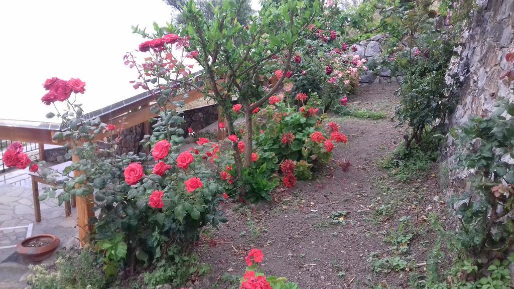 Irida Aparthotel Georgioupoli Bagian luar foto